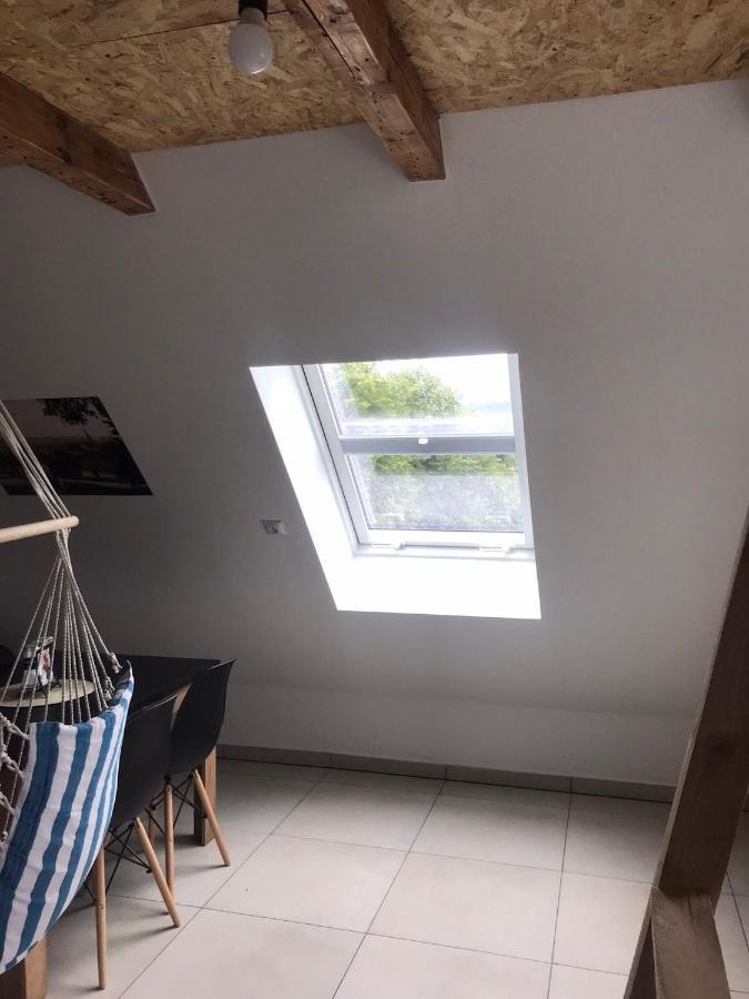 Nowe Apartment *